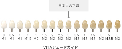 https://sdcg.xsrv.jp/mw-kamiooka/asset/i_002.jpg