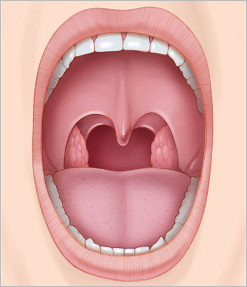 https://sdcg.xsrv.jp/mw-kamiooka/asset/oral_cavity.jpg